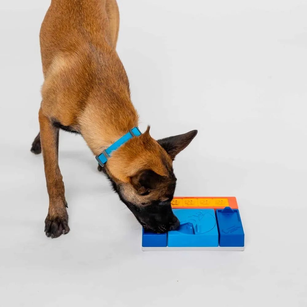 Hlavolam pre psov Puppy Set – Pawzler