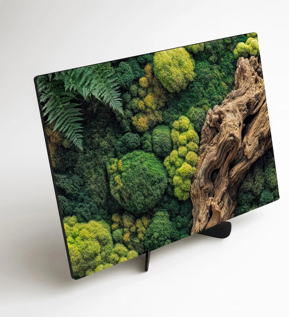 DUBLEZ | Machový obraz na stenu (UV tlač)