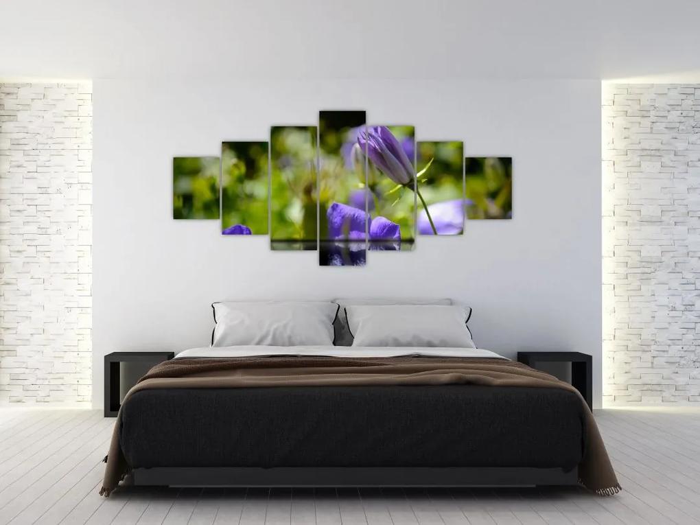 Modrá kvetina - obraz