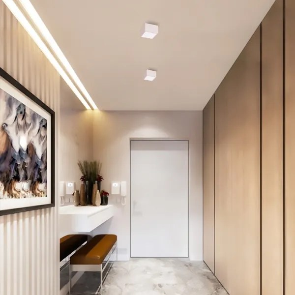 Immax NEO 07072L-15 - LED Stmievateľné svietidlo CANTO LED/12W/230V biela