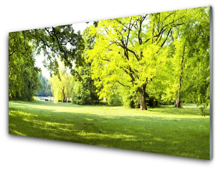 Skleneny obraz Tráva stromy park príroda 100x50 cm