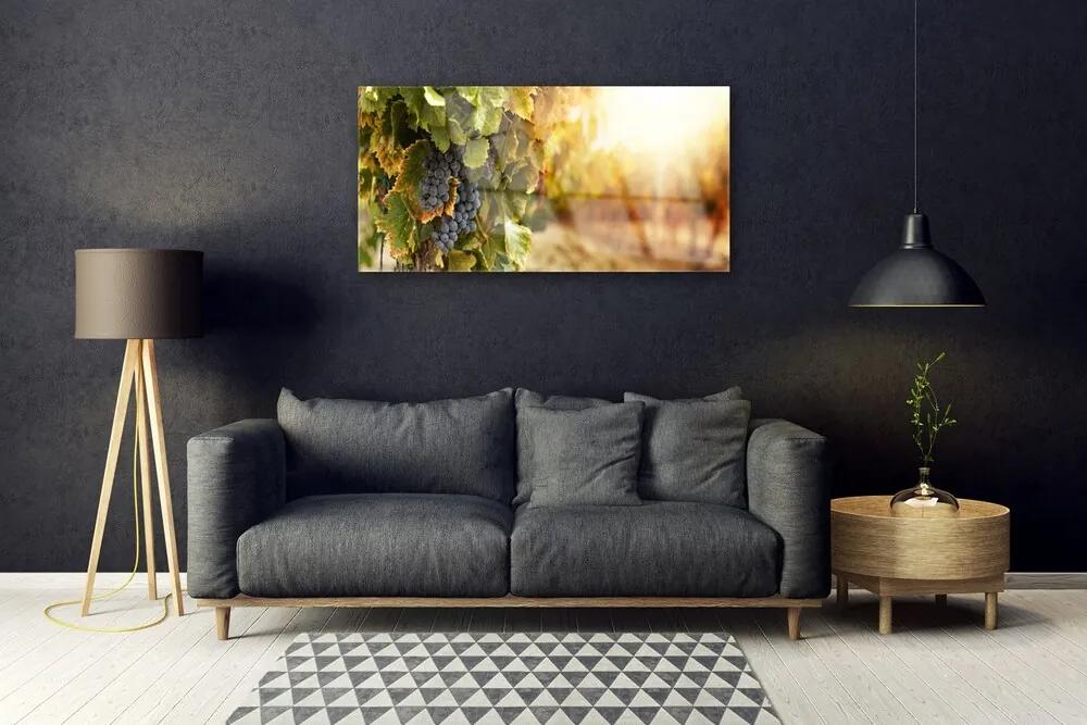 Skleneny obraz Hrozno listy kuchyňa 100x50 cm