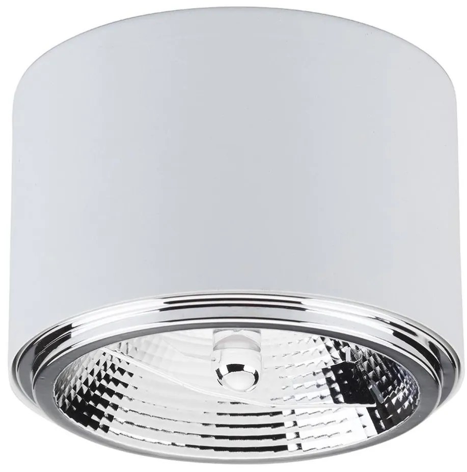 Bodové svietidlo MORIS 1xAR111 GU10/50W/230V biela