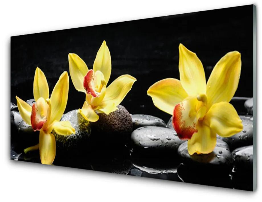 Obraz plexi Kvet kamene rastlina 120x60 cm