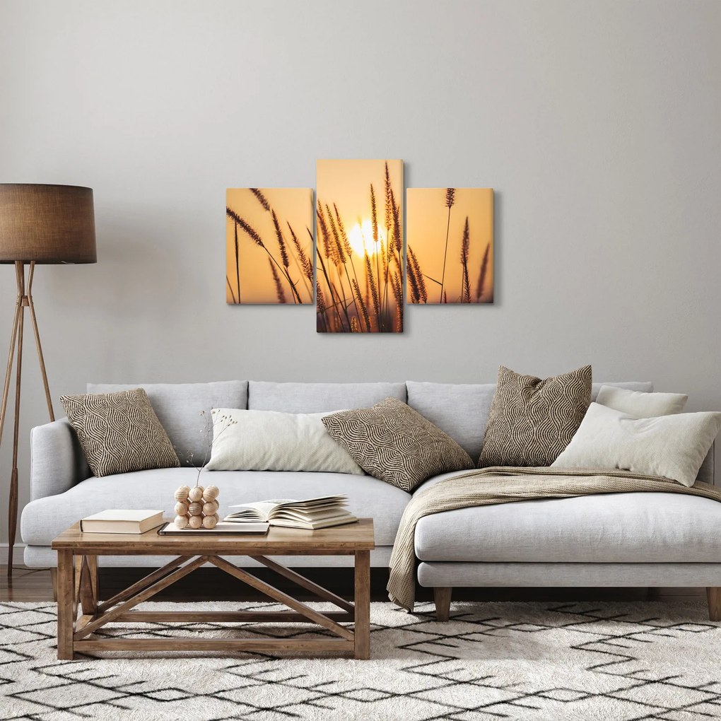 Obraz - Traviny na slnku (90x60 cm)