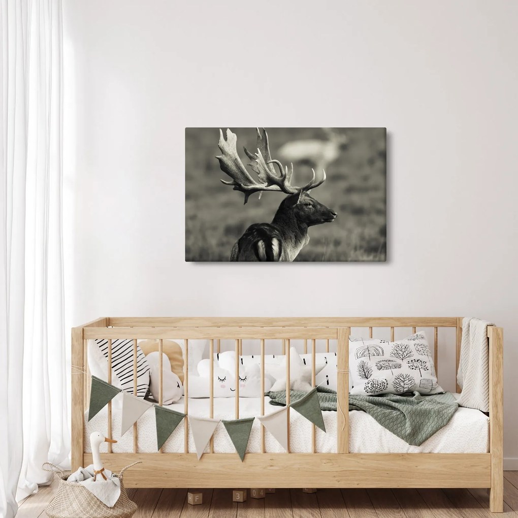 Obraz - Jeleň (90x60 cm)