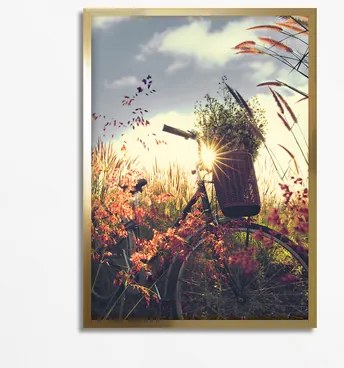 Maľba BICYKEL NA LÚKE 50x70 cm