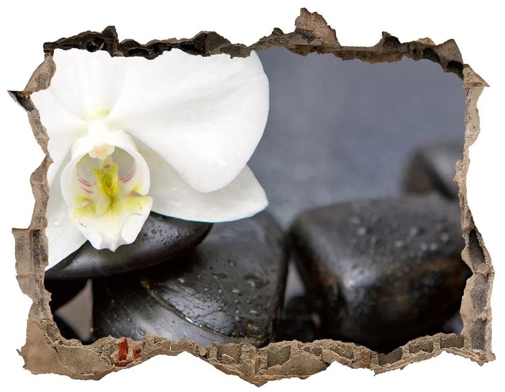 Samolepící nálepka fototapeta Orchidea nd-k-143014442