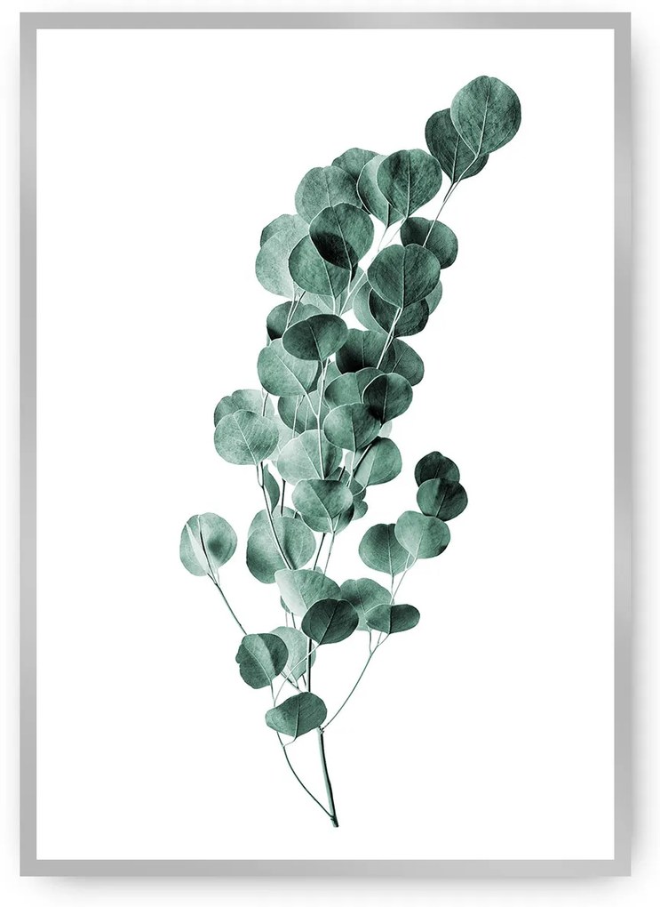 Plagát Eucalyptus Emerald Green