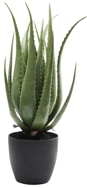 KARE DESIGN Sada 2 ks Dekoratívny predmet Plant Aloe 69 cm 69 × 20 × 20 cm