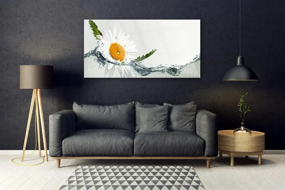 Obraz plexi Sedmokráska vo vode 120x60 cm