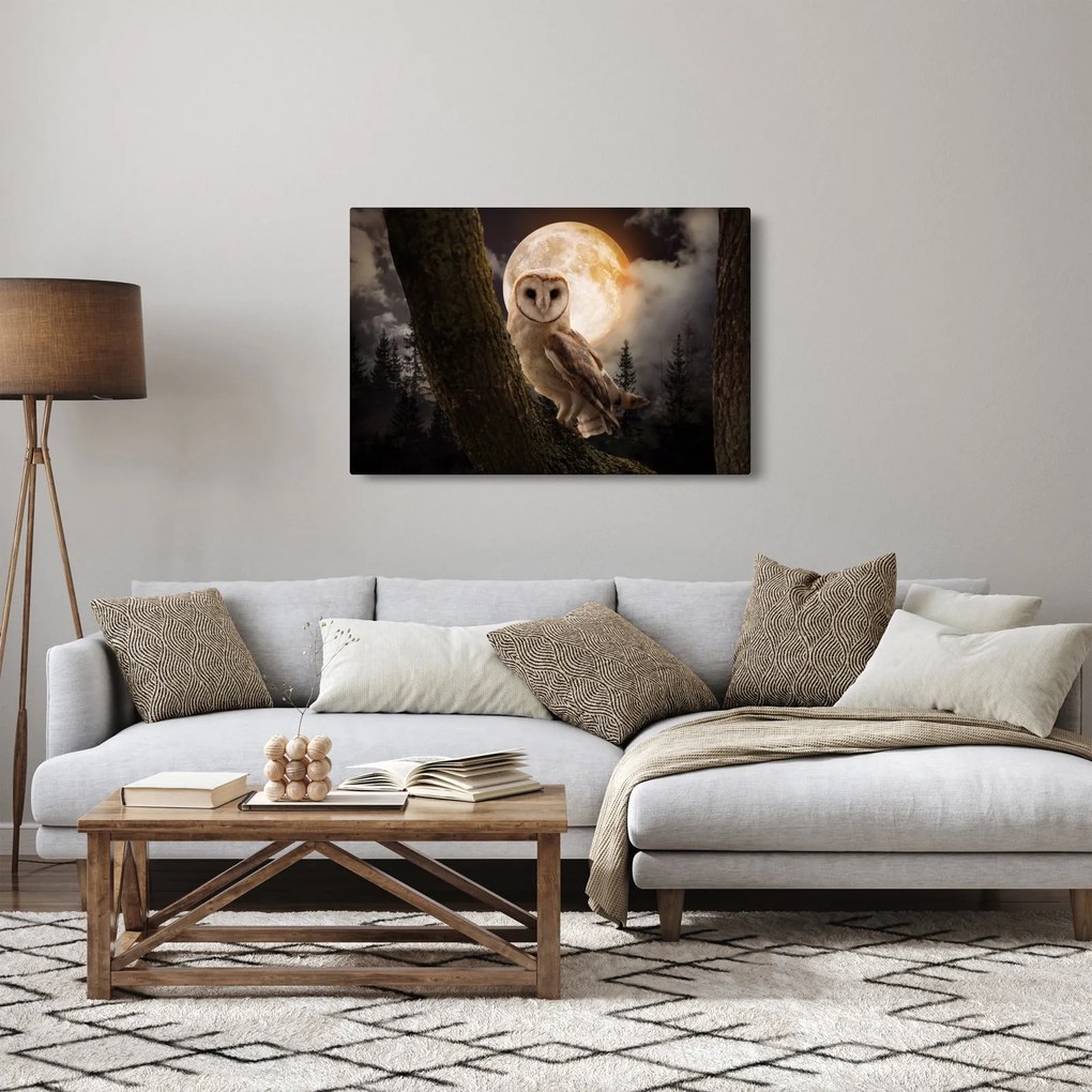 Obraz sovy (90x60 cm)