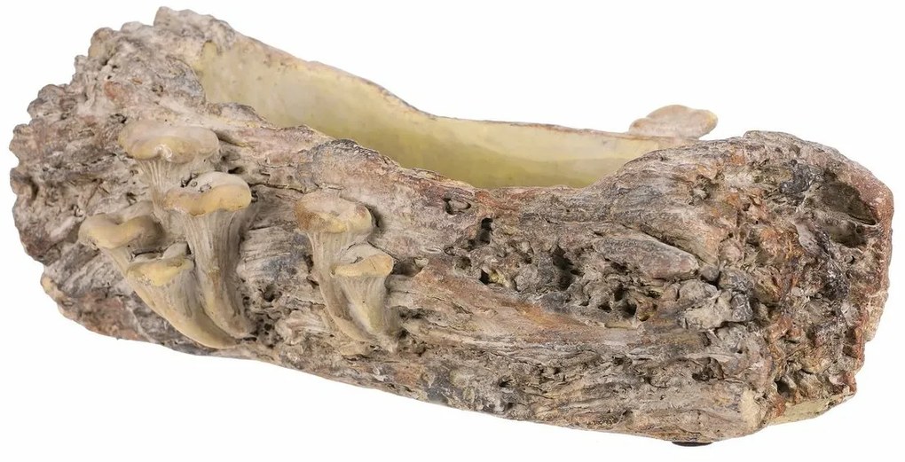 Betonový obal - truhlík, drevo s hubami, 36 x 18 x13 cm, hnedá