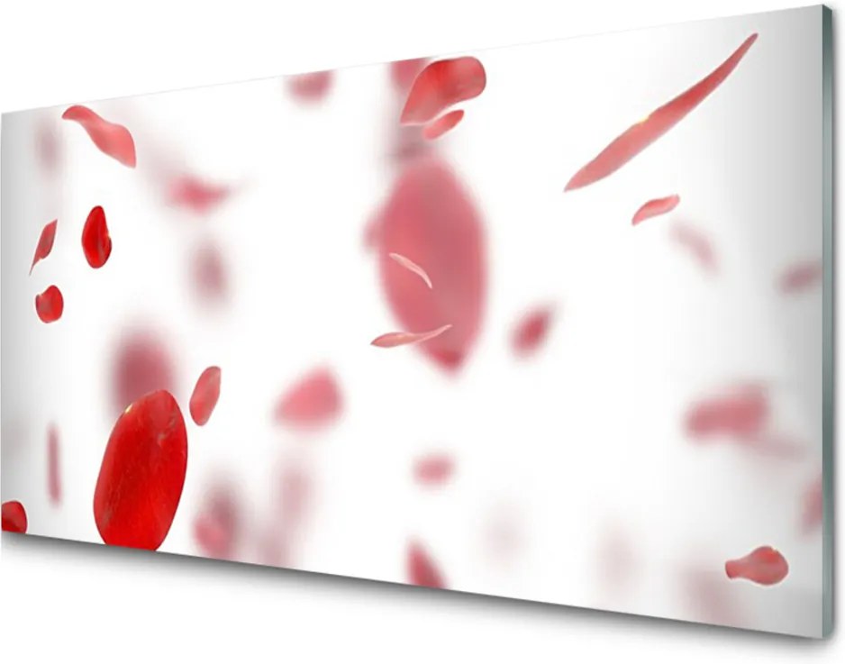 Obraz na akrylátovom skle Ruže plátky