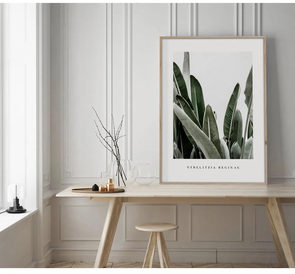 Obraz 50x70 cm Strelitzia – Styler