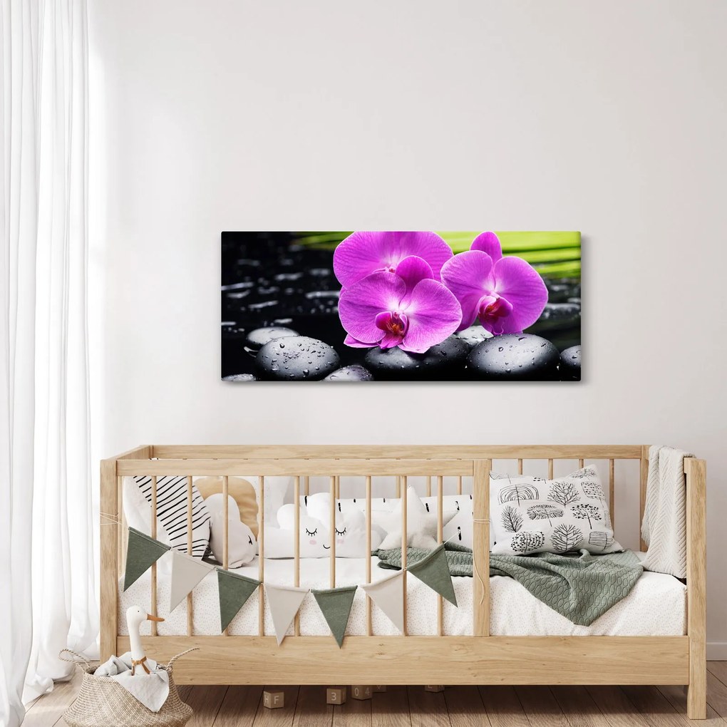Obraz - Orchidey (120x50 cm)