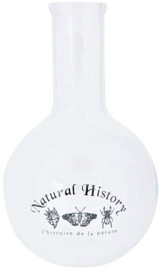 Sklenená váza (výška 23 cm) Natural History – Esschert Design
