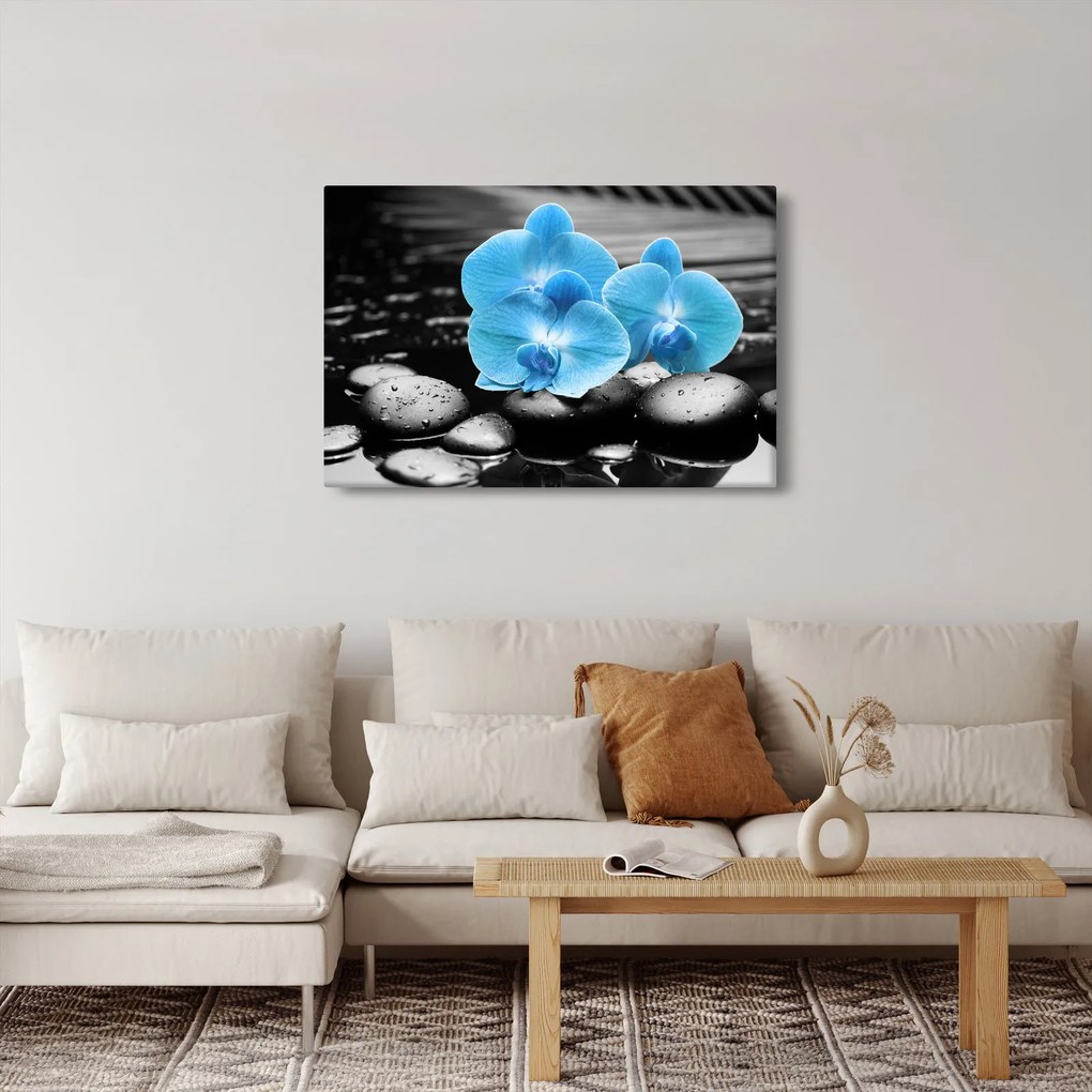 Obraz - Modrá orchidea (90x60 cm)