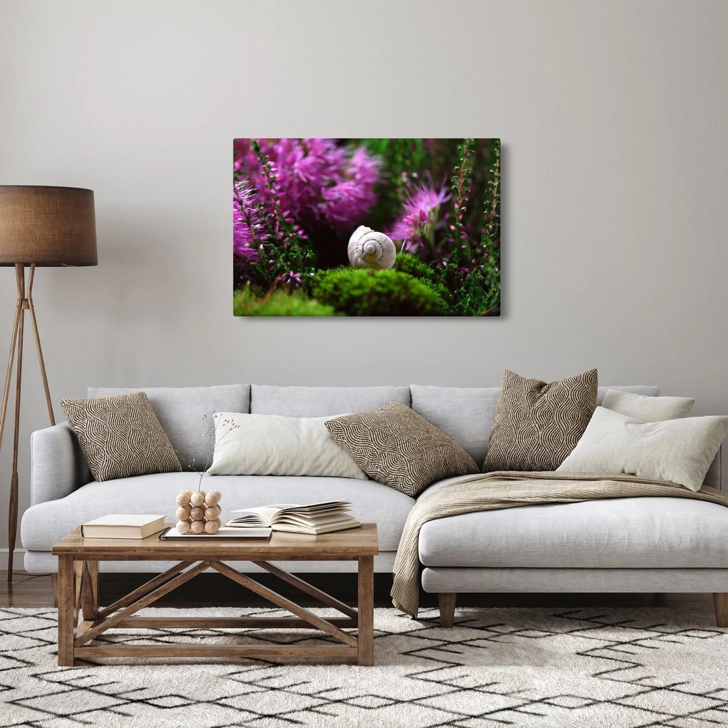 Obraz - Slimáková ulita (90x60 cm)