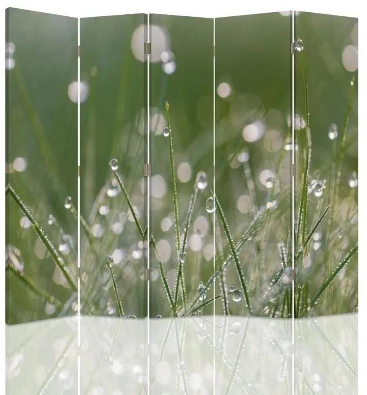 Ozdobný paraván, Kapky rosy na trávě - 180x170 cm, päťdielny, obojstranný paraván 360°