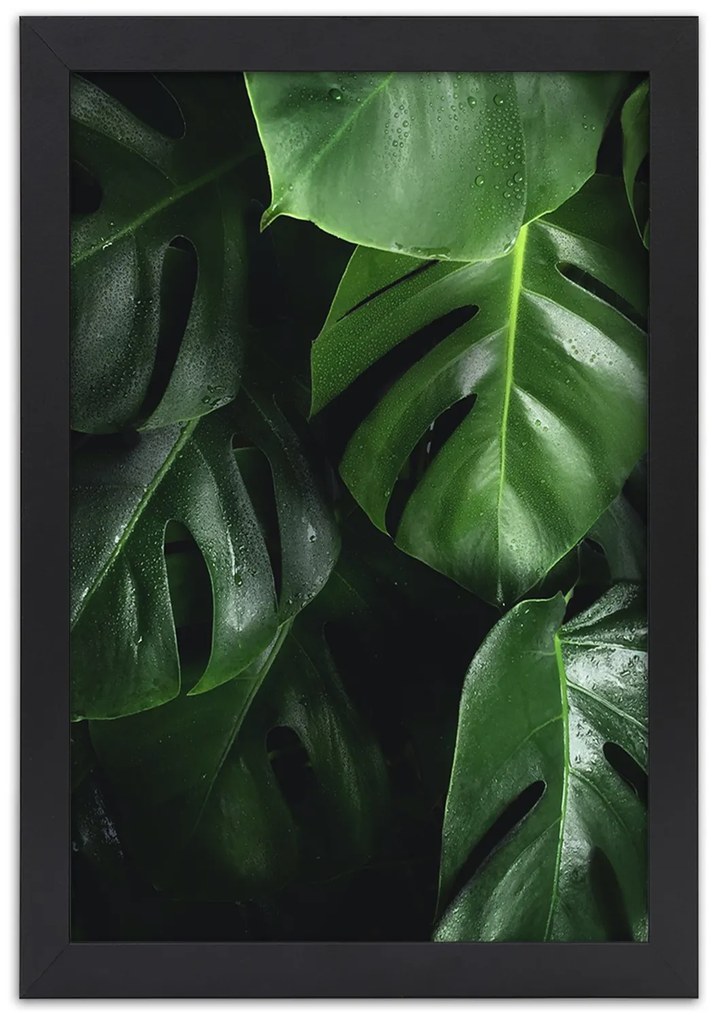 Gario Plagát Módne listy monstery Farba rámu: Bez rámu, Rozmery: 70 x 100 cm