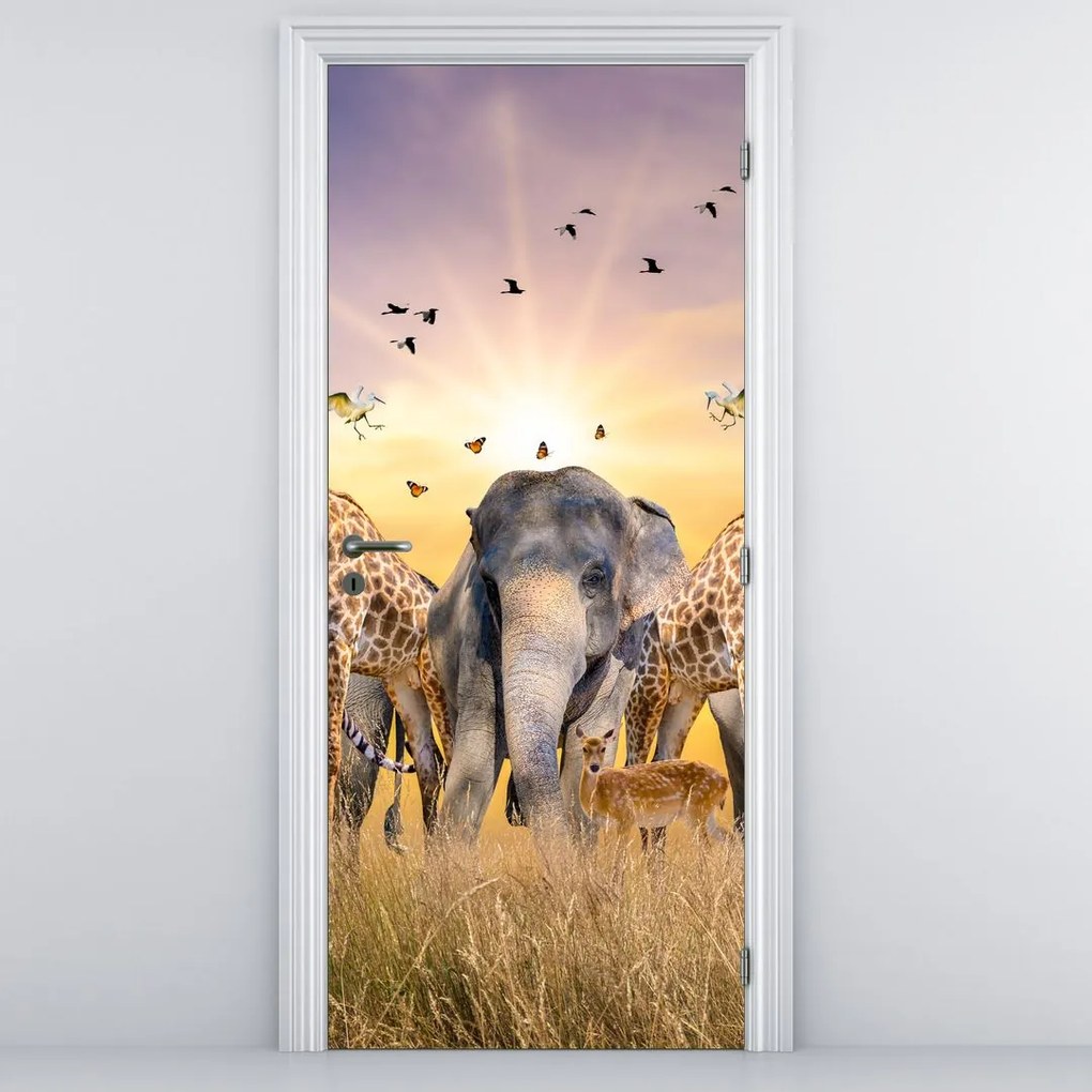 Fototapeta na dvere - Africké zvieratá (95x205cm)