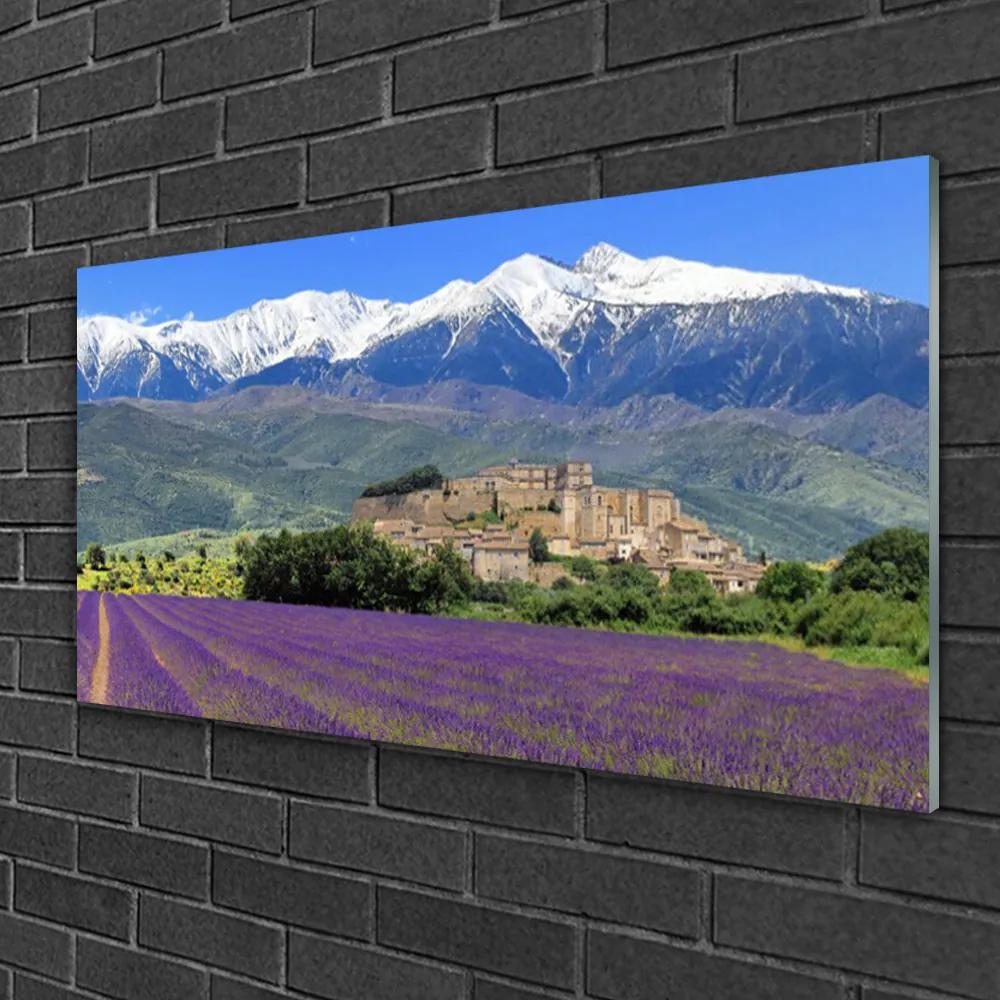 Obraz na skle Lúka kvety hory príroda 120x60 cm