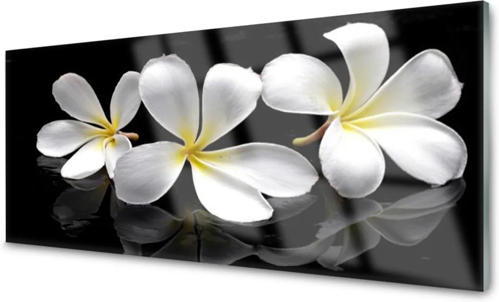 Akrylové obraz Skleněný květiny rostlina