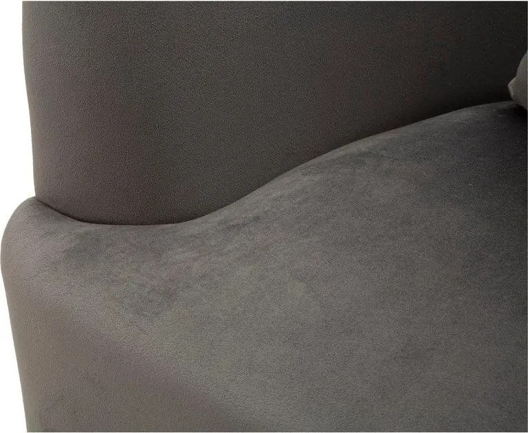 Sivé zamatové kreslo Silvery – Mauro Ferretti