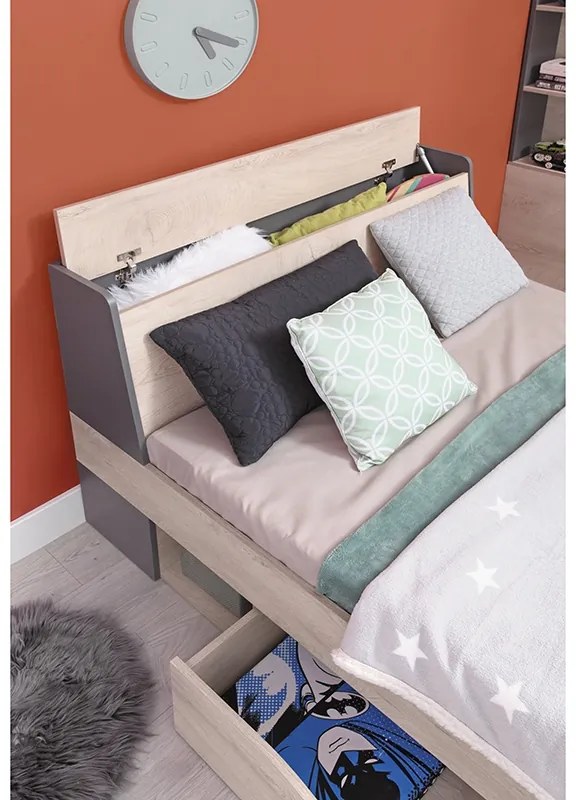 Mládežnícka posteľ 120 x 200 Delta DL14 L/P - dub / antracit - Meblar