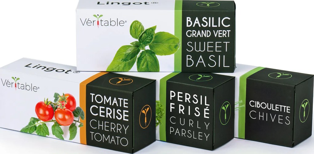 Kapsule so semienkami Lingot základné bylinky petržlen