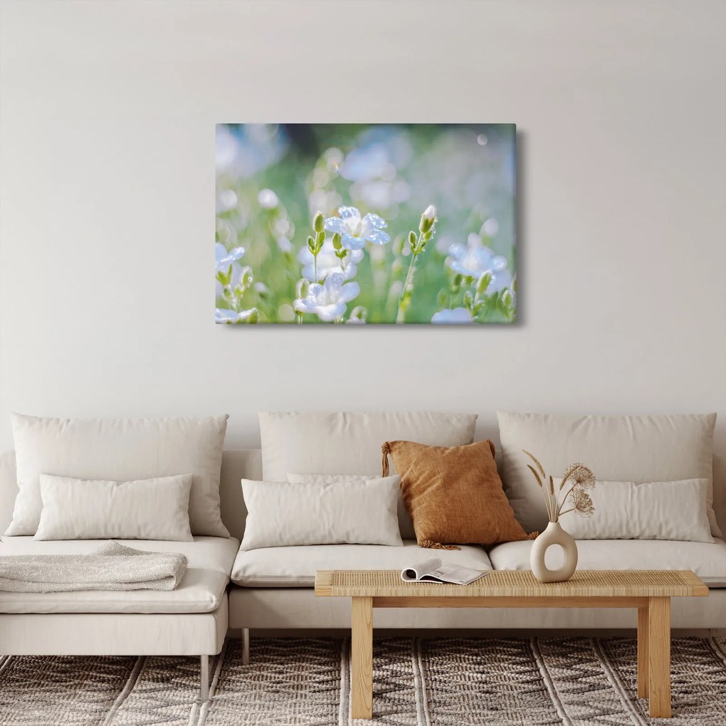 Obraz - Jemné kvety (90x60 cm)