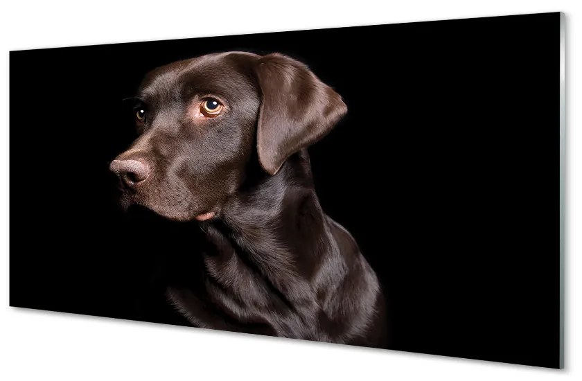 Sklenený obraz hnedý pes 125x50 cm