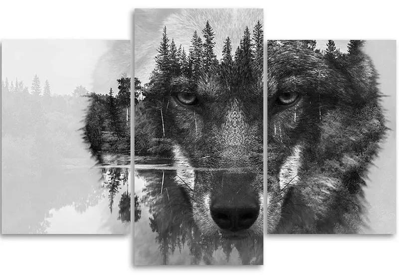Obraz na plátně třídílný Wolf Forest černá a bílá - 120x80 cm