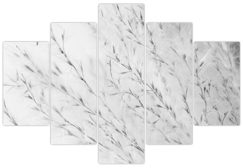 Obraz - Pampas grass N⁰2 (150x105 cm)