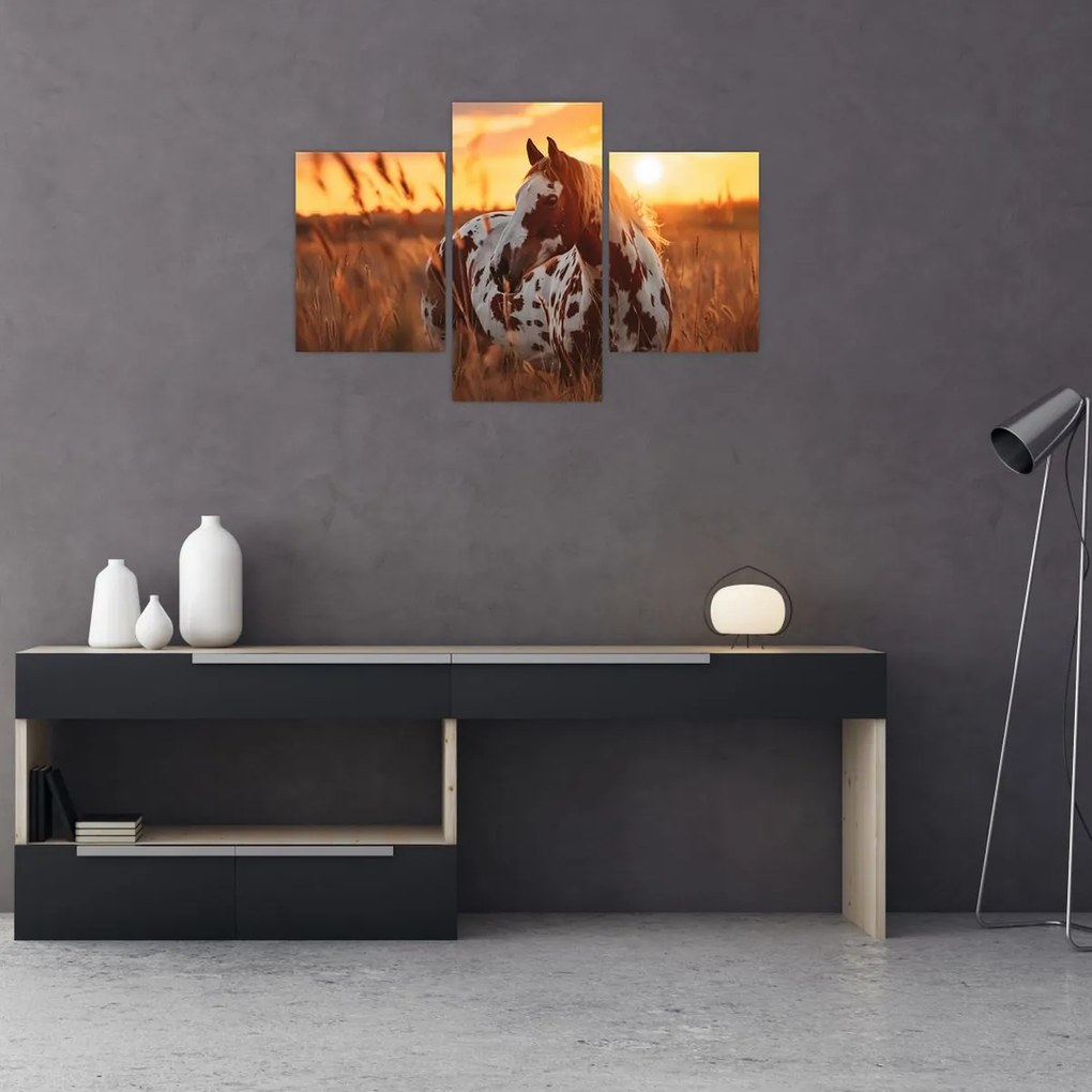 Obraz - Kôň pri západe slnka (90x60 cm)