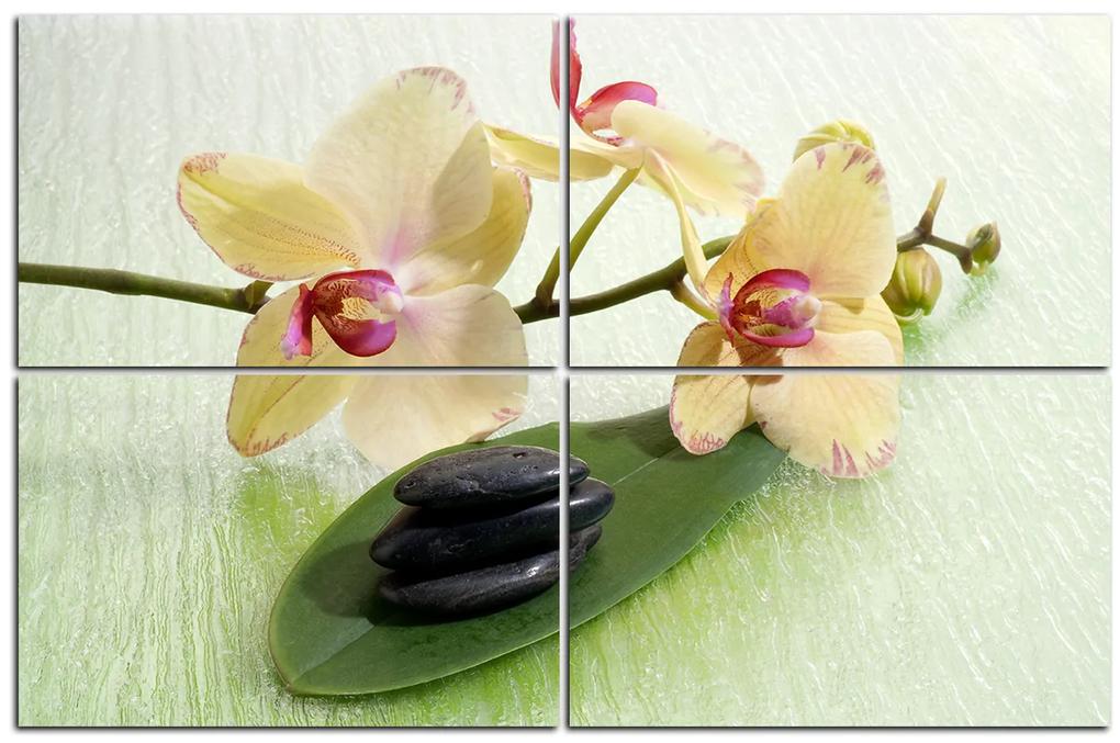 Obraz na plátne - Kvety orchidei 162C (150x100 cm)