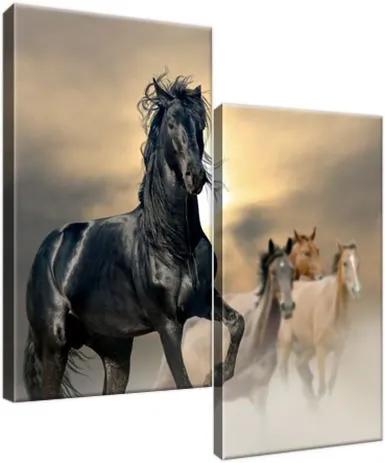 Obraz na plátne Nádherný čierny kôň 60x60cm 2491A_2A