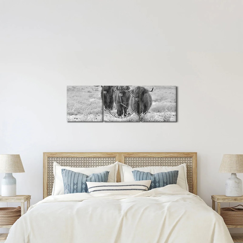 Obraz - Škótske kravy, čiernobiela (s hodinami) (90x30 cm)
