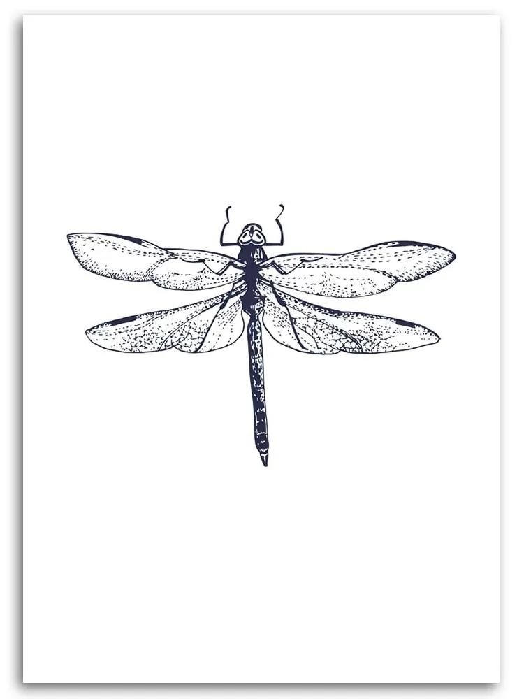 Obraz na plátně Vážka Hmyz Příroda - 80x120 cm