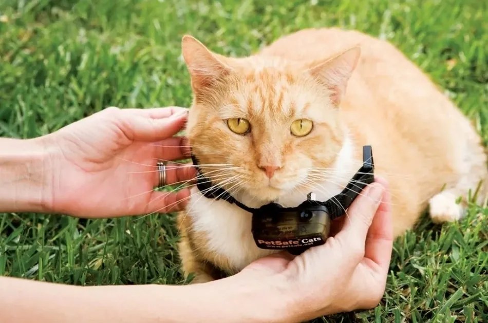 PetSafe® Extra obojok pre mačky Deluxe Ultraľahký