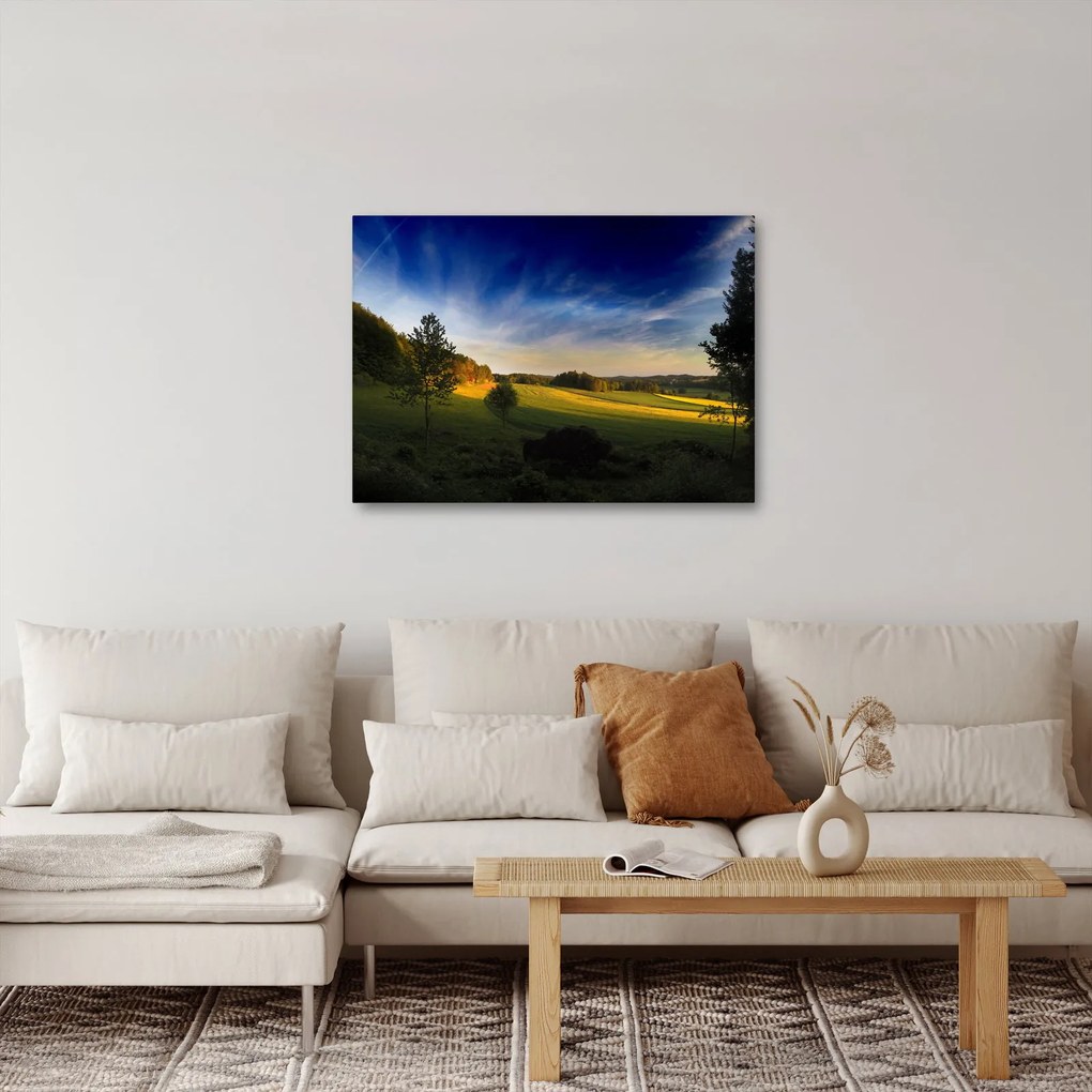 Obraz - Horská lúka (70x50 cm)