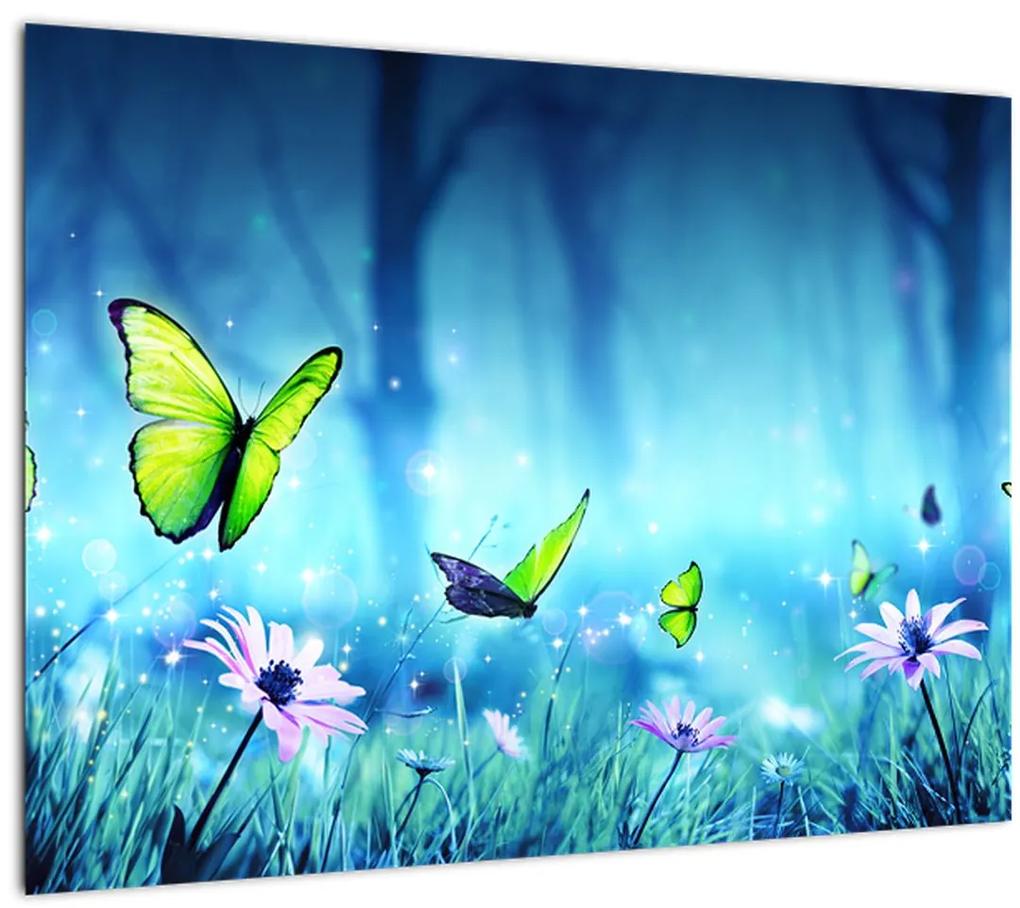 Sklenený obraz - Mystická lesná čistina (70x50 cm)