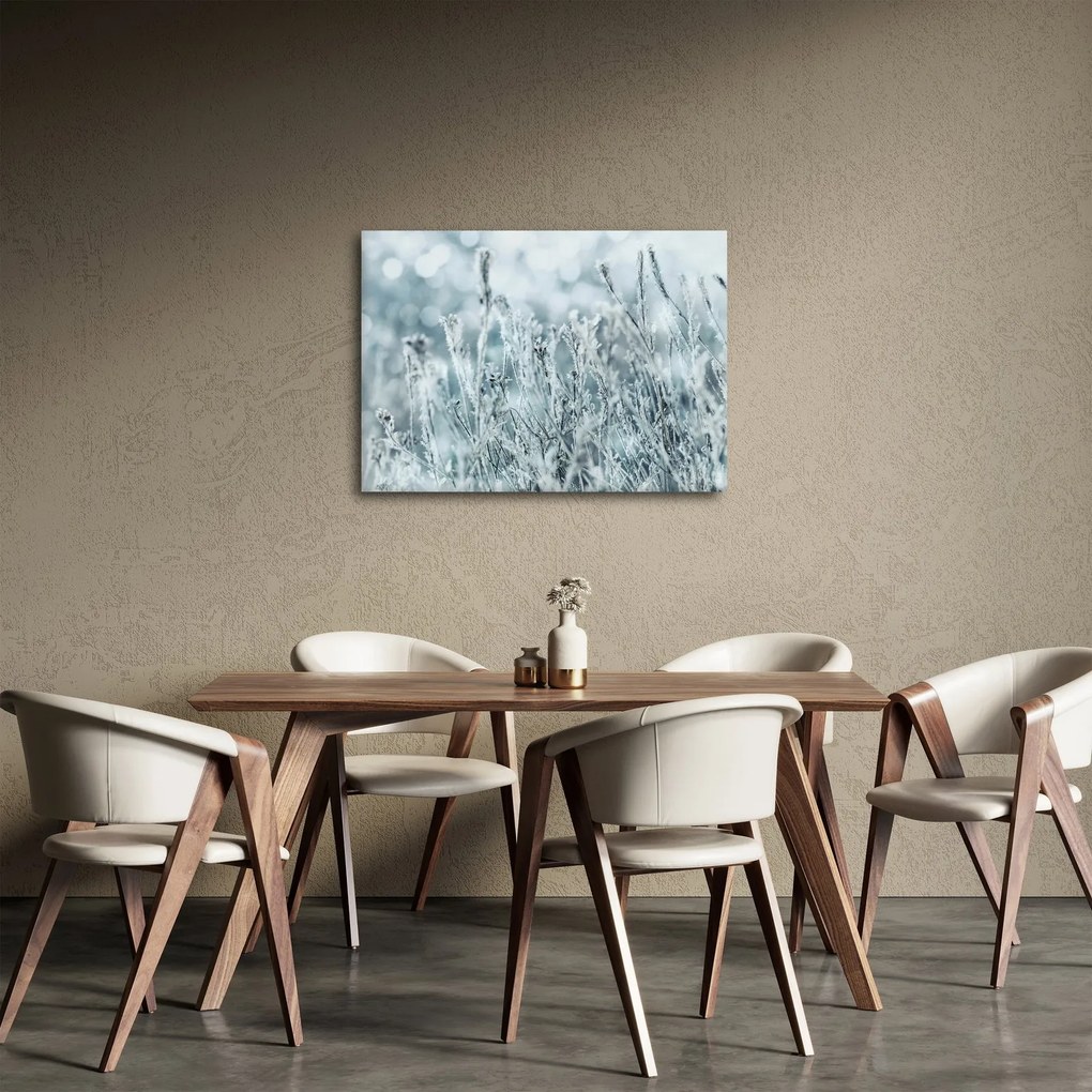 Obraz - Kúzlo zimy (70x50 cm)
