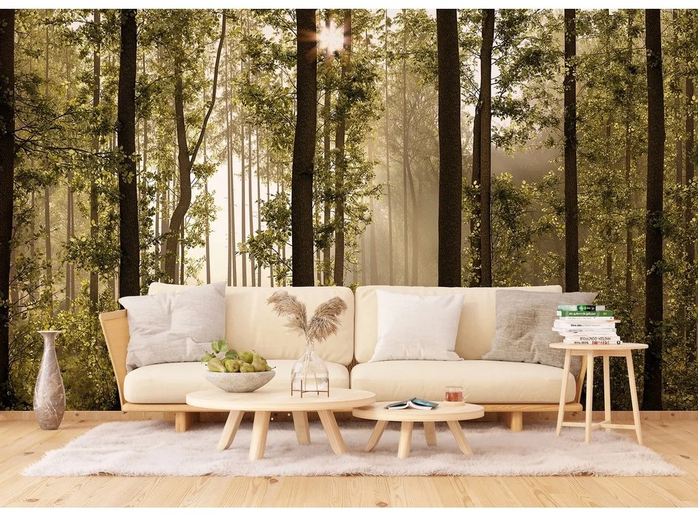 Fototapeta XXL Forest 360 x 254 cm, 4 diely