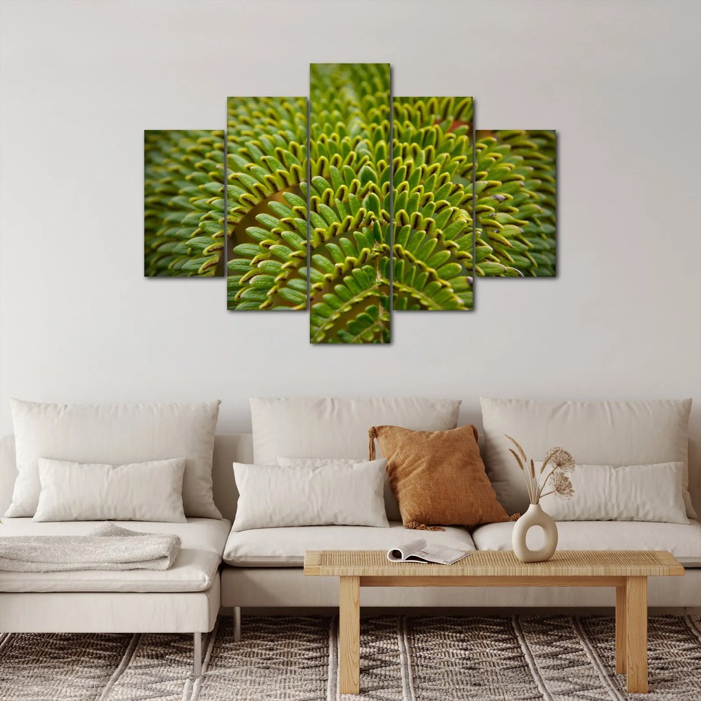 Obraz - Papraď (150x105 cm)