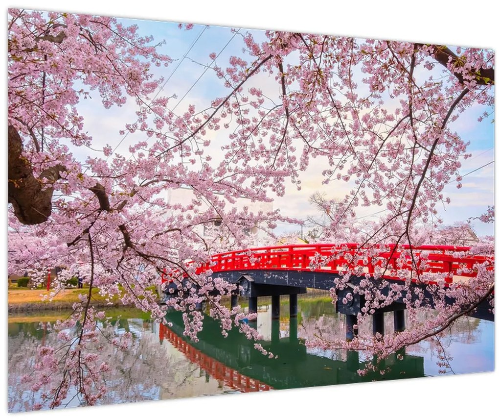 Obraz - Hirosaki, Japonsko (90x60 cm)