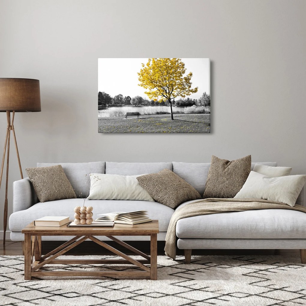 Obraz - Odpočinok v parku (90x60 cm)