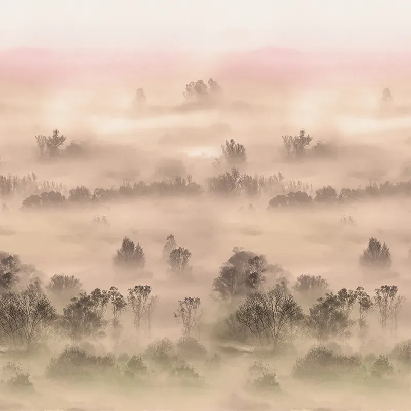 VLADILA Foggy Landscape Peach - tapeta