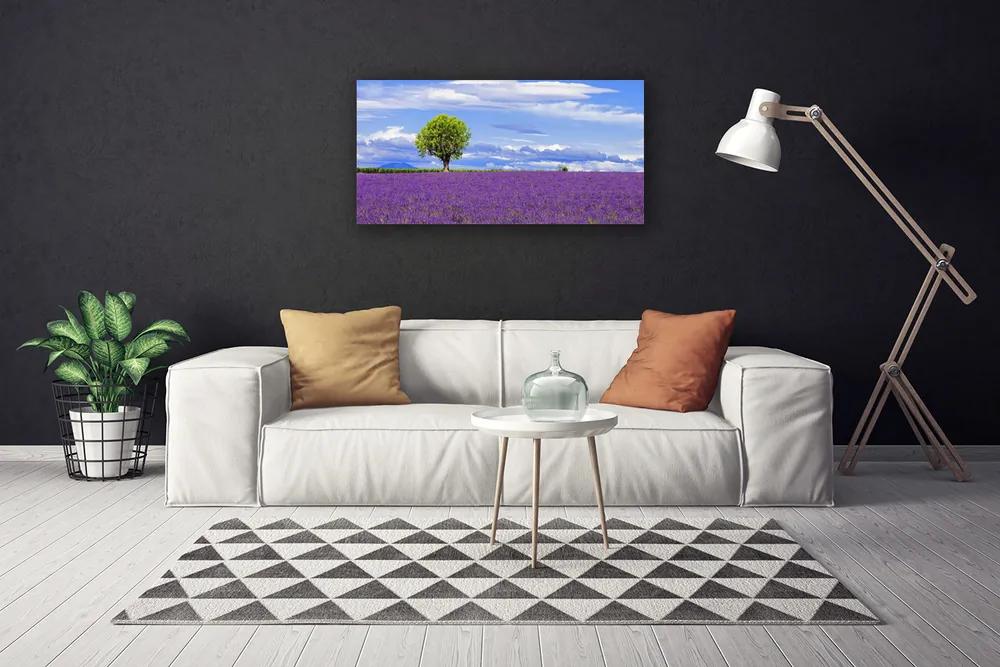 Obraz Canvas Pole levanduľa strom príroda 125x50 cm